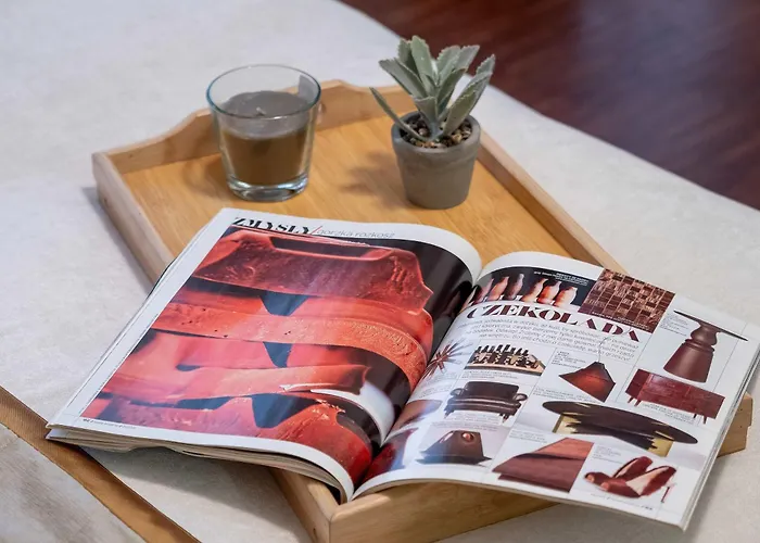 Apartment Tasteful Near The Center In By Renters *